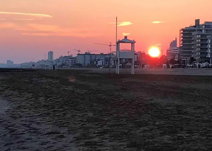 Апартаменты Casa Al Mare, Moderna Con Piscina E Giardino! *